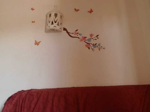 Live sex webcam photo for Milena0606 #268744232