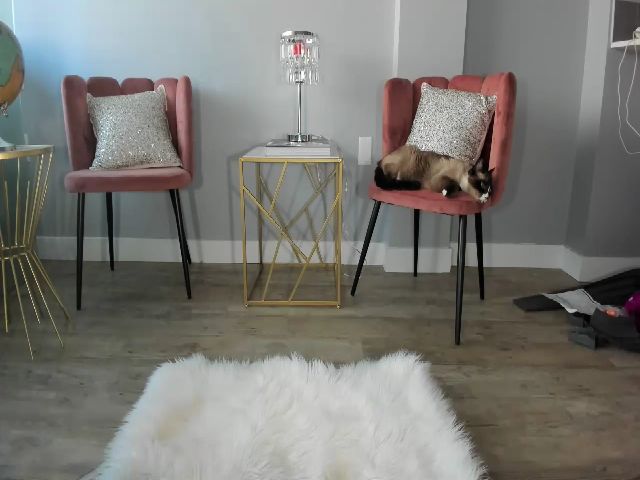 Live sex webcam photo for AlexisWildest #268754520