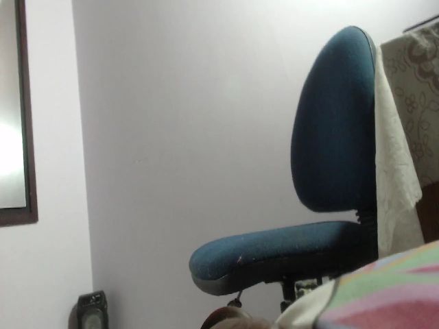 Live sex webcam photo for KellyUnicorn #268762275