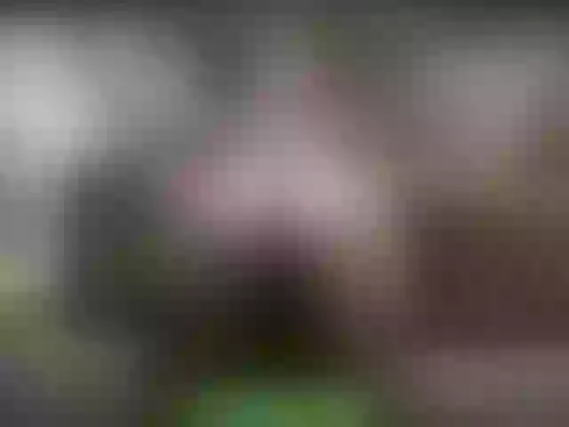 Live sex webcam photo for alisablond #268786588