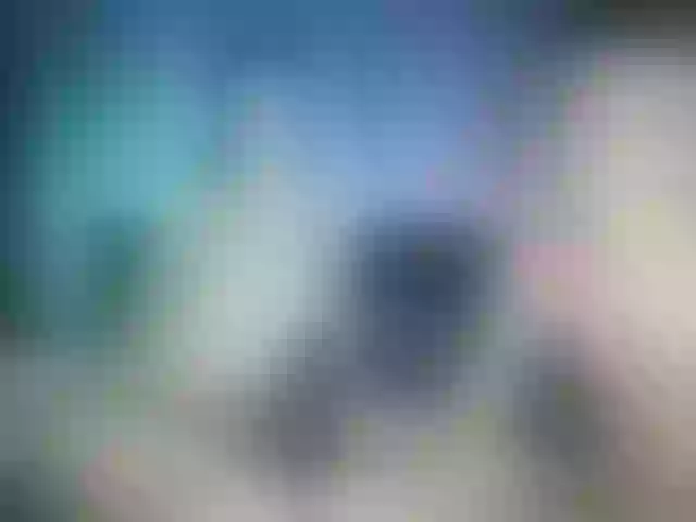 Live sex webcam photo for timon1201 #268791852