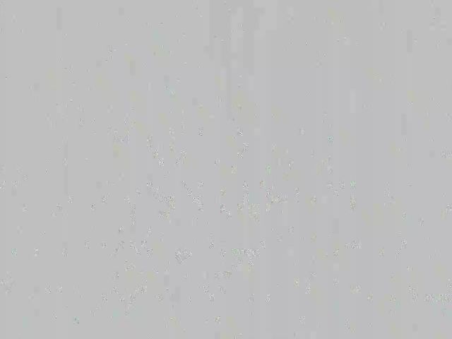 Live sex webcam photo for Candace18x #268778932