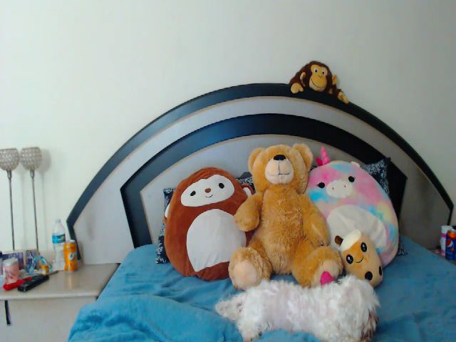 Live sex webcam photo for lyllla #268776669