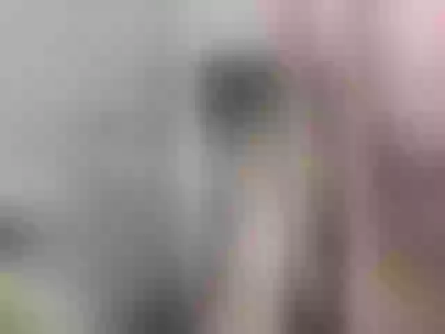 Live sex webcam photo for MikaMurrr #268809476