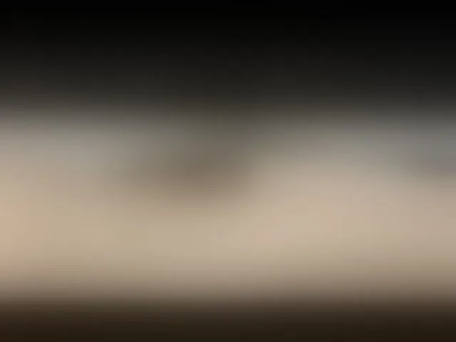 Live sex webcam photo for RossAnRoben #268799187