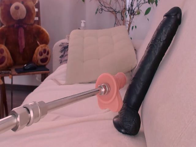 Live sex webcam photo for WildredheadCZ #268809090