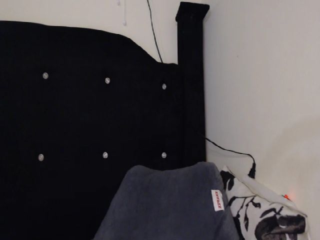 Live sex webcam photo for Enchantriss #268800559