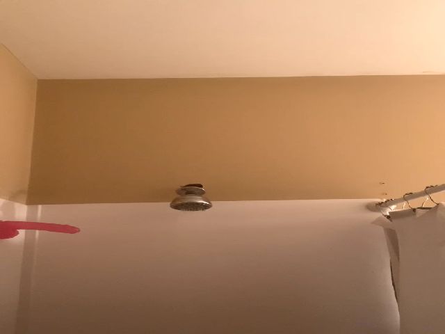 Live sex webcam photo for Mistydiva #268821562