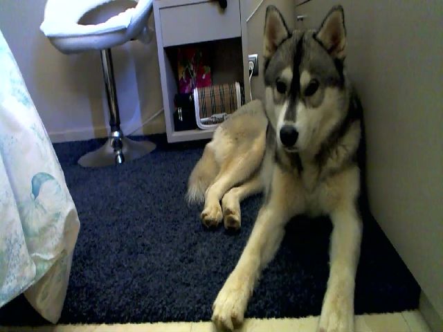 Live sex webcam photo for Irinkagata #268835464