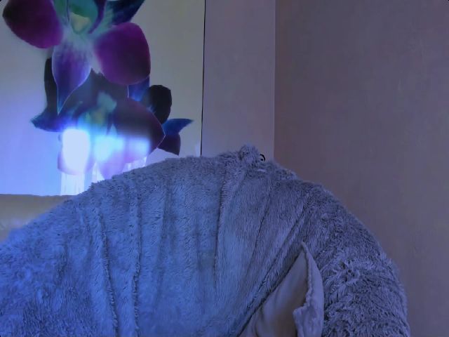 Live sex webcam photo for Amelya_ #268827536