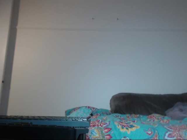 Live sex webcam photo for titanic-tits #268845153