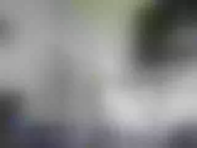 Live sex webcam photo for RachelORose #268850972
