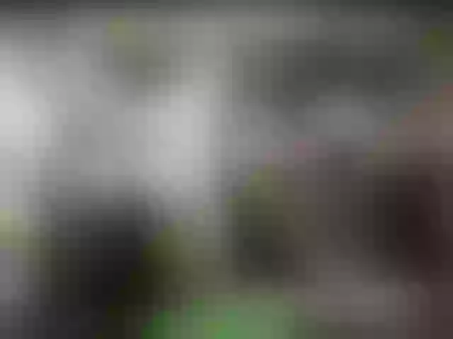 Live sex webcam photo for alisablond #268875769