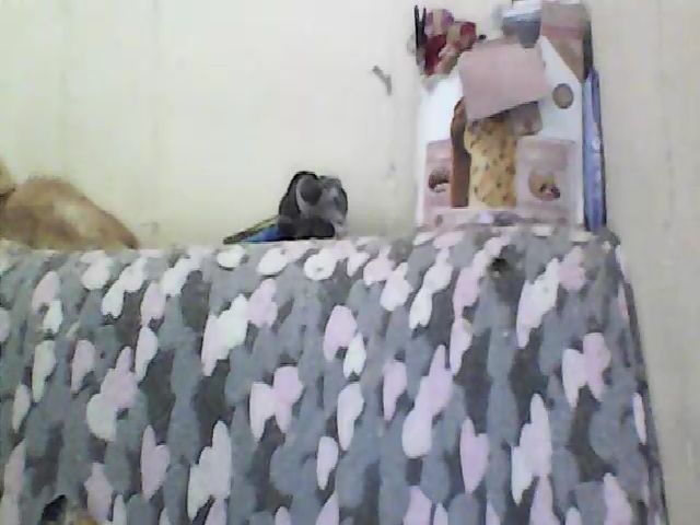 Live sex webcam photo for GuiltyKitty #268875613