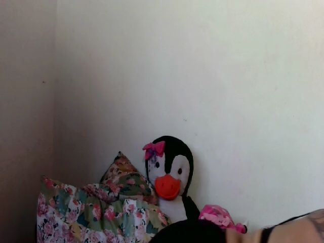 Live sex webcam photo for Chicamala9 #268884073