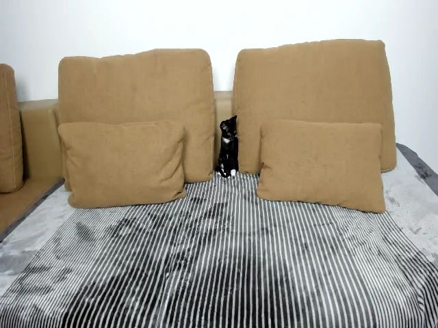Live sex webcam photo for Jessy4Lovex #268869702