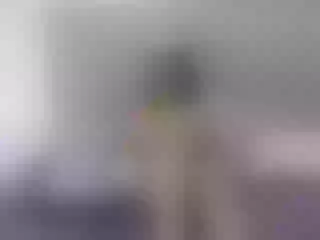 Live sex webcam photo for malu266 #268927008