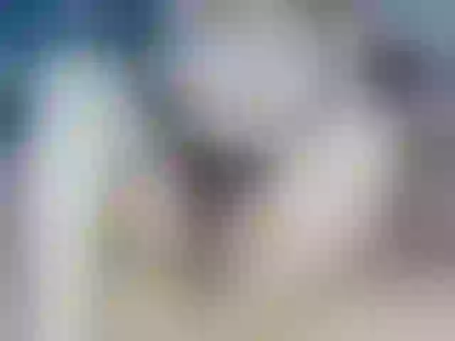 Live sex webcam photo for MaryStanley #268931593