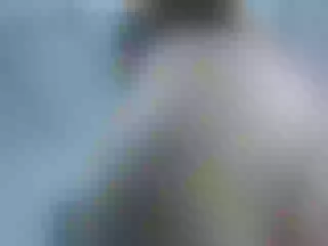 Live sex webcam photo for adhara4 #268947082