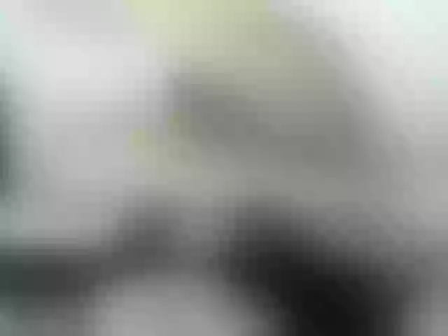 Live sex webcam photo for KimyStone #269004022
