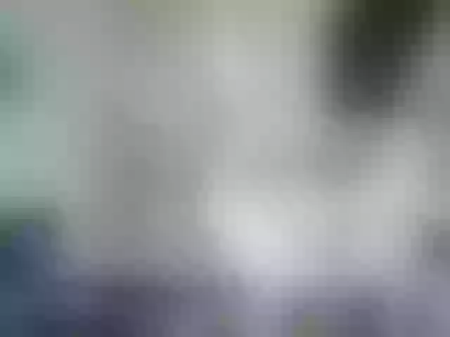 Live sex webcam photo for RachelORose #268998444