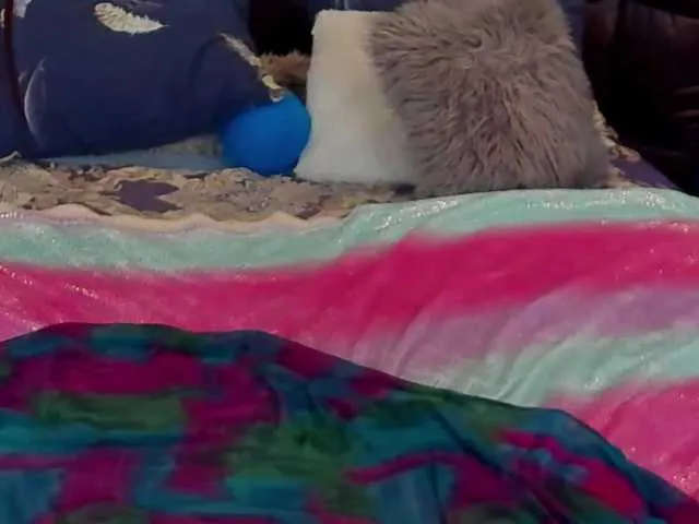 Live sex webcam photo for VeronikaNew #268988802