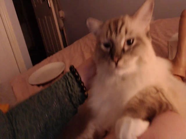 Live sex webcam photo for Rumour_ #269007249