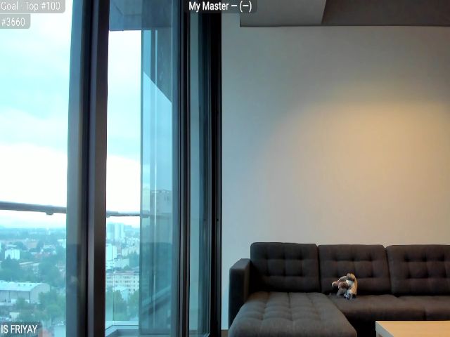 Live sex webcam photo for LovelyEvaa #268989750