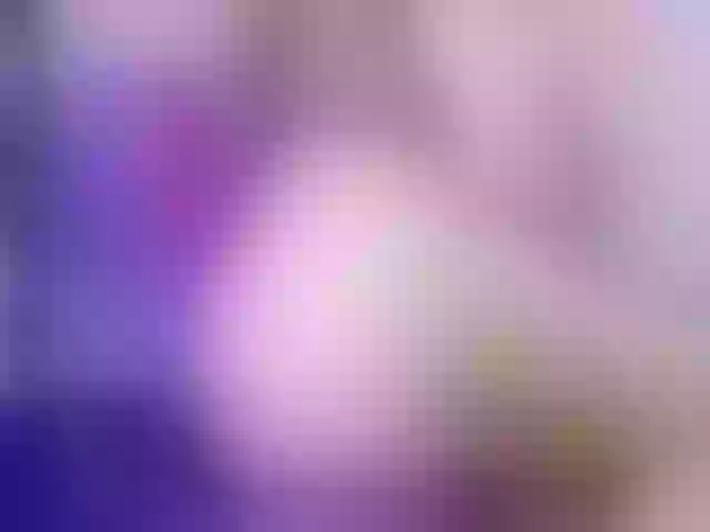 Live sex webcam photo for angellopez19 #269004539