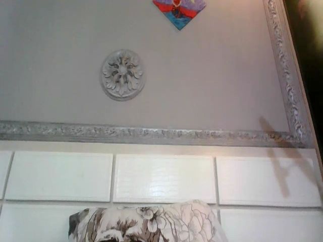 Live sex webcam photo for Xena_New #269023696