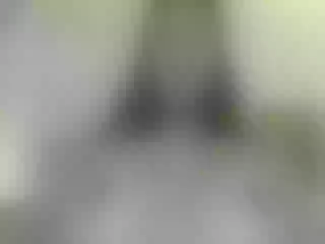Live sex webcam photo for summynov #269037263