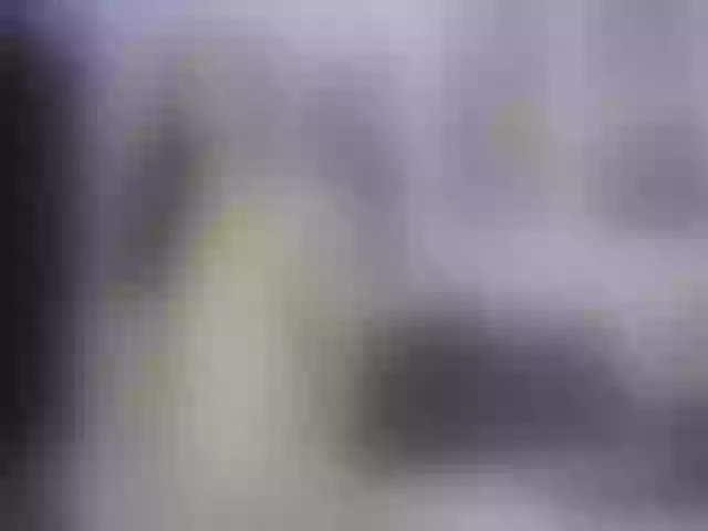 Live sex webcam photo for shantal20 #269032958