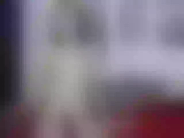 Live sex webcam photo for shantal20 #269037756