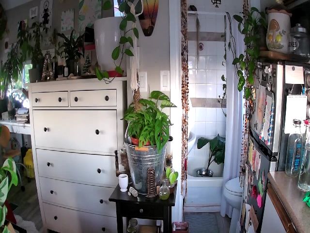 Live sex webcam photo for Sexylexi211 #269041998