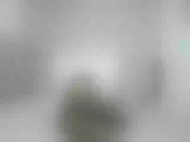 Live sex webcam photo for KiaraKaneel #269043268