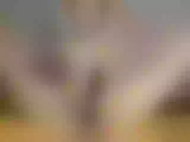 Live sex webcam photo for nicehotjob #269051988