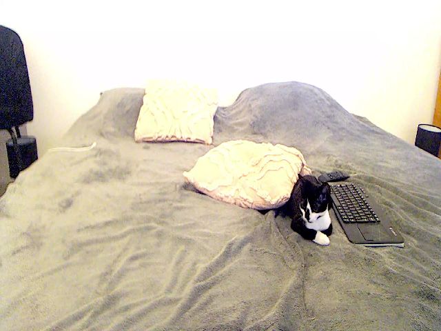 Live sex webcam photo for AliceBiggAss #269053222