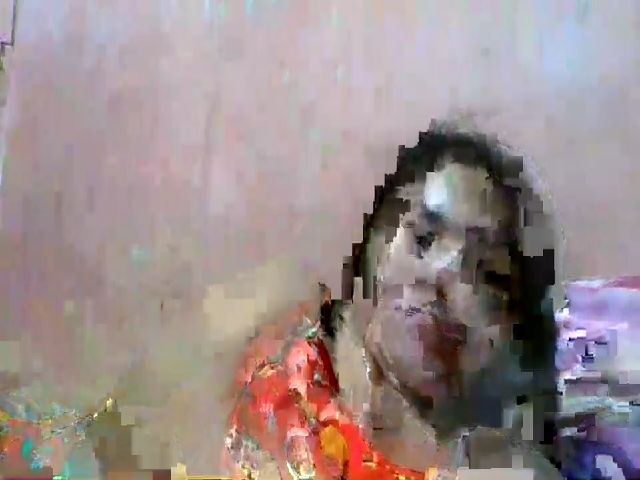 Live sex webcam photo for TulipBhabes #269046813