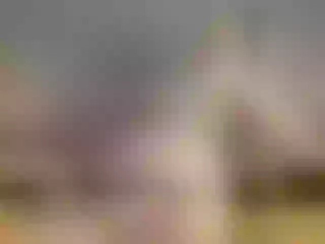 Live sex webcam photo for nicehotjob #269073131