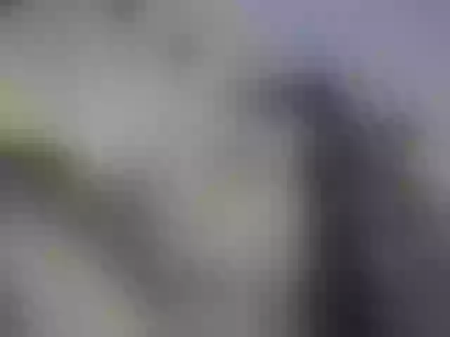 Live sex webcam photo for MollyRick #269063833