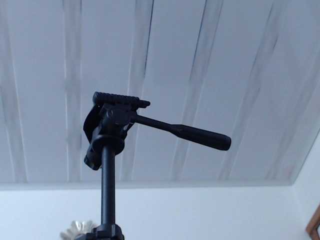 Live sex webcam photo for esmeraldamf #269100794