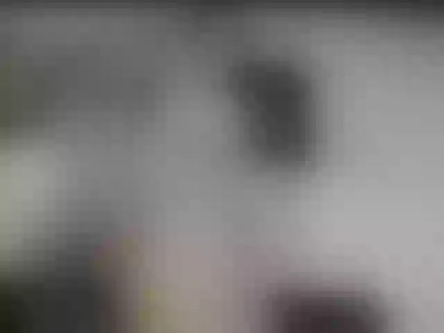 Live sex webcam photo for lindarey #269085226