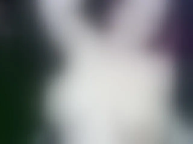 Live sex webcam photo for Spaarkless #269085378