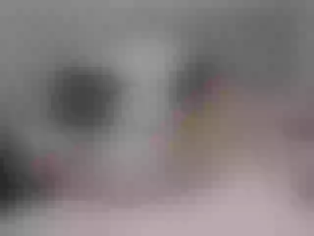 Live sex webcam photo for misssoraya #269090532
