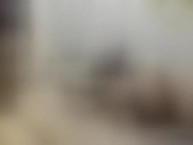 Live sex webcam photo for NoemyAndLian #269122727