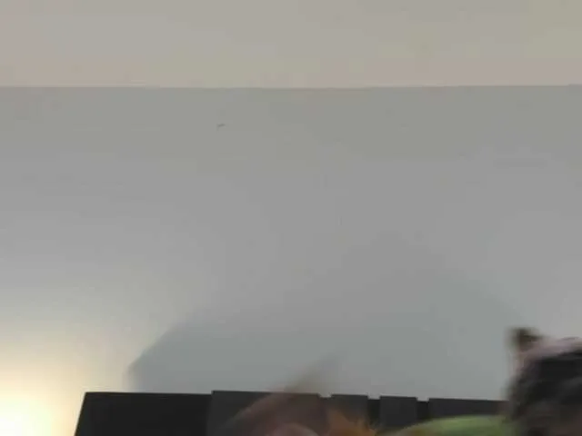 Live sex webcam photo for latincarlahot #269107827