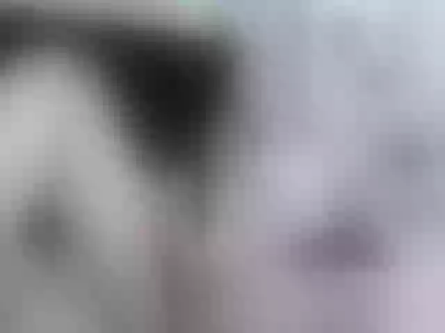Live sex webcam photo for girasol-walto #269144101