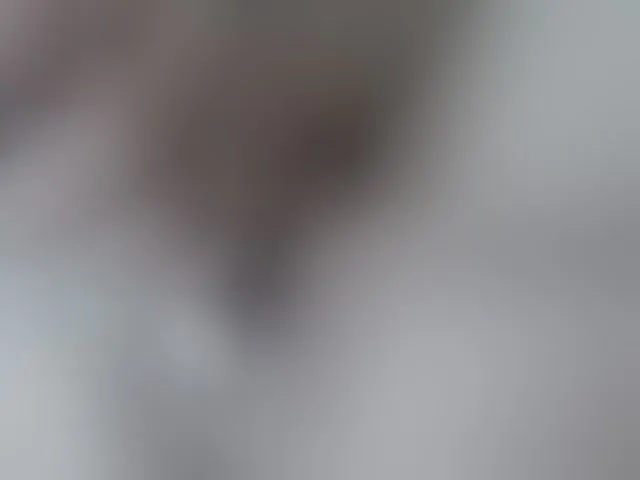 Live sex webcam photo for adri14-1 #269144329