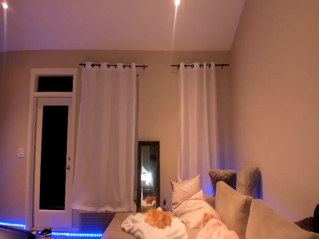 Live sex webcam photo for Mollyboots #269131843