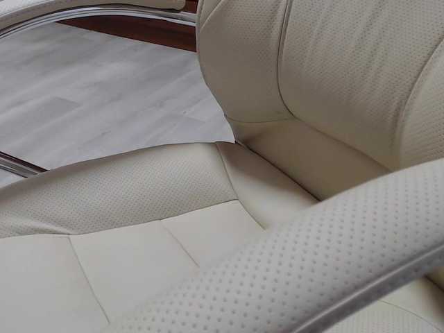 Live sex webcam photo for MadamSG #269153429